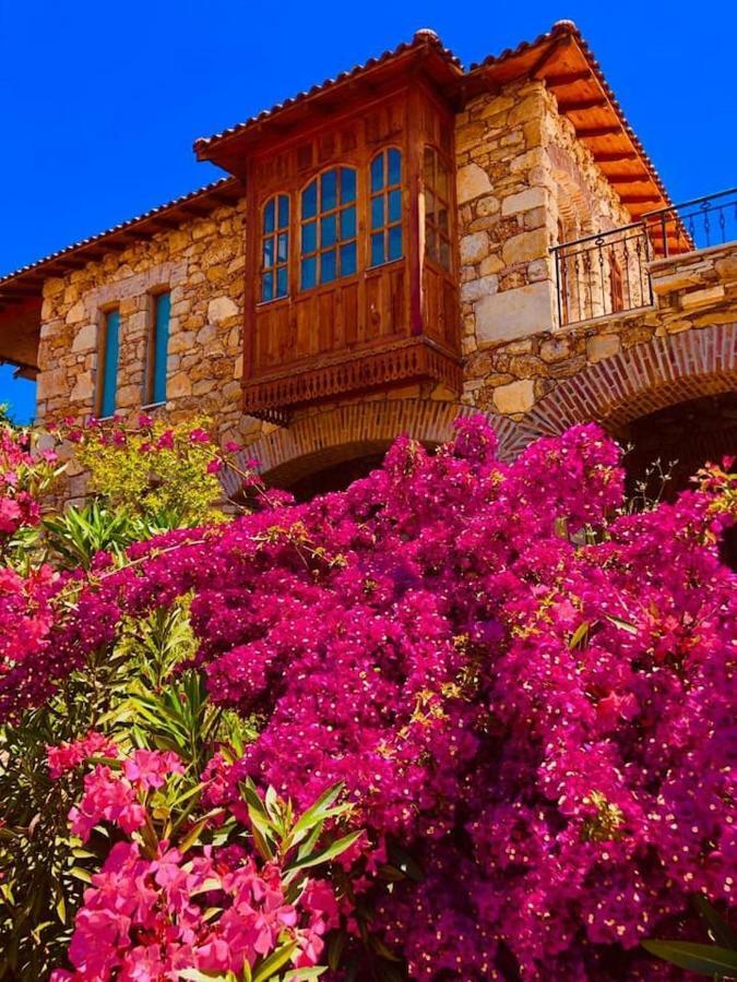 Side Cottagehause المظهر الخارجي الصورة